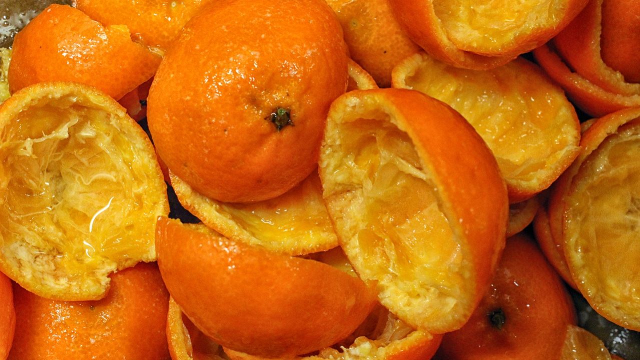 peels-1883783_1280