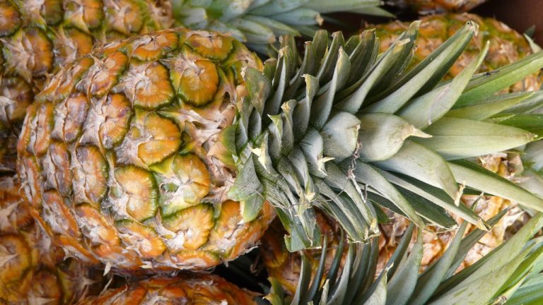 pineapple-5794_1280