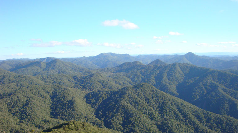 Mata Atlantica – Santa Catarina