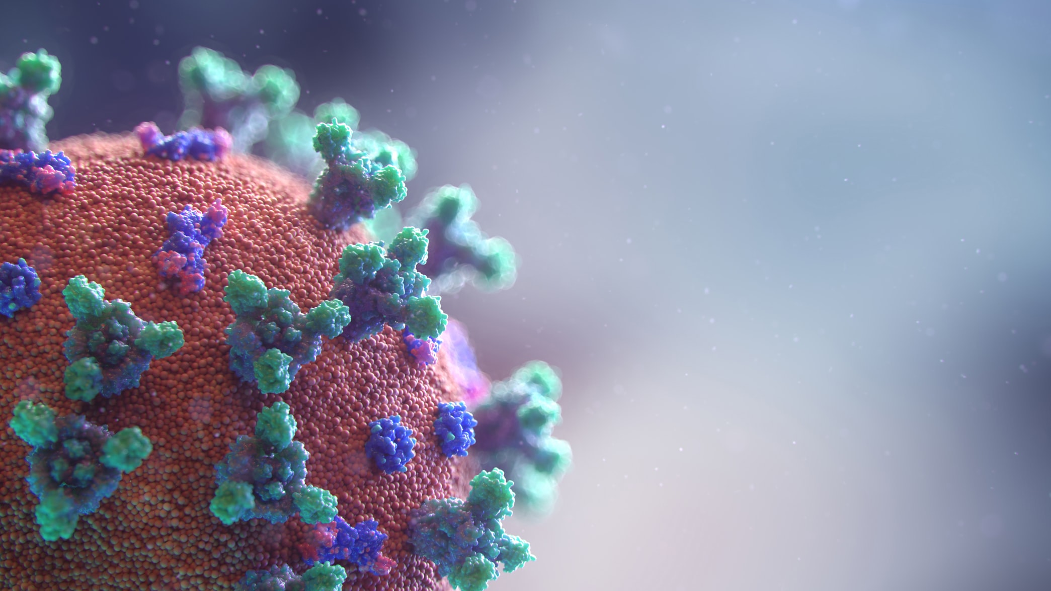 Sars-CoV-2, o novo cornavírus, foi o responsável pela pandemia que parou o mundo