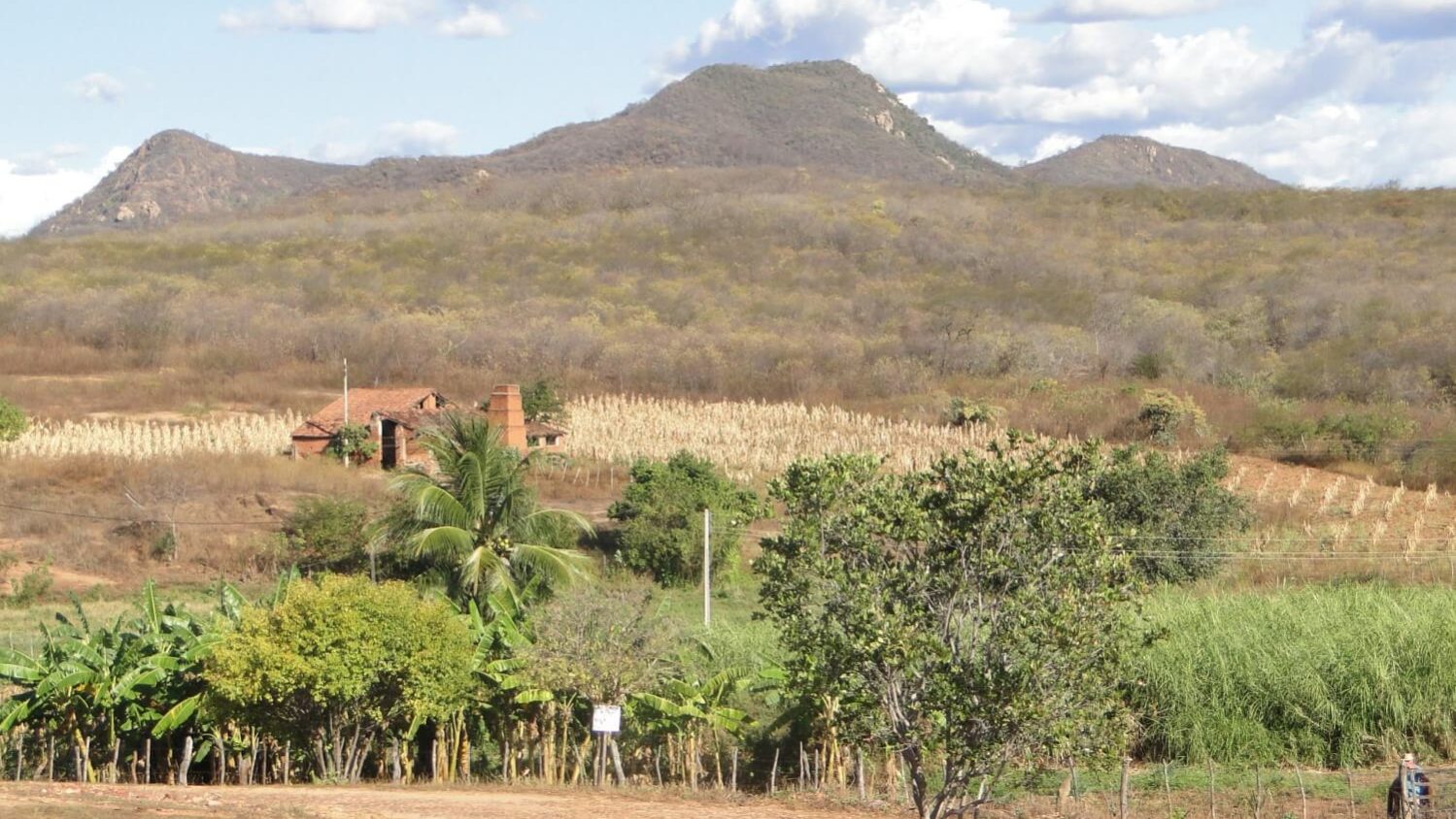 F01_Landscape_Martins_RN_Brazil_CRFonseca-scaled