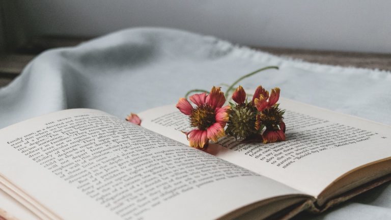 debby-hudson-enNl3McVwSI-unsplash