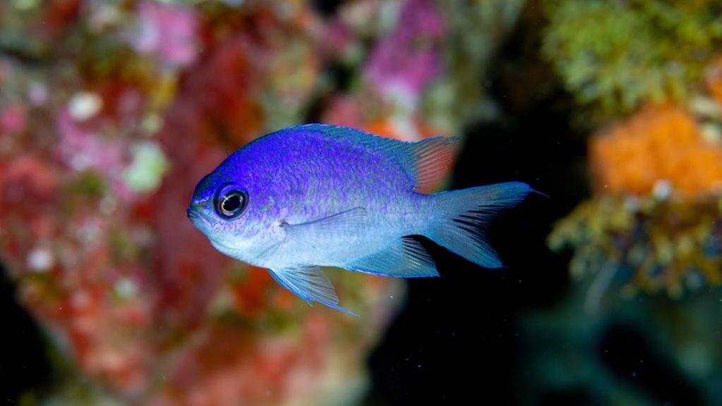 18dc6970-ad4a-49ab-beb5-5022a5242be3
