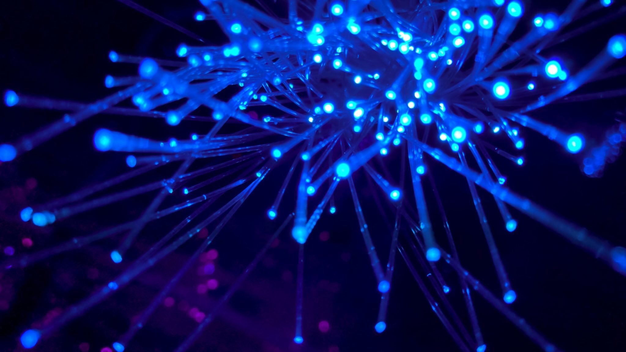 jj-ying-8bghKxNU1j0-unsplash (1)