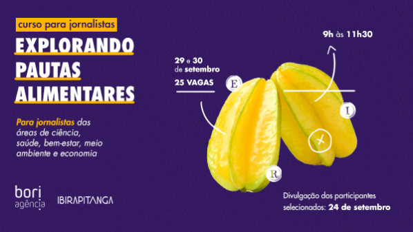 Imagem Newsletter Curso Pautas v1