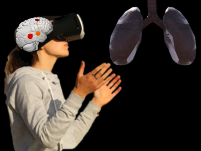 #01. Pulmões virtuais