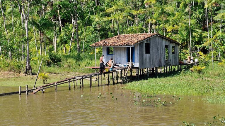 Rio Guamá - Licença Creative Commons