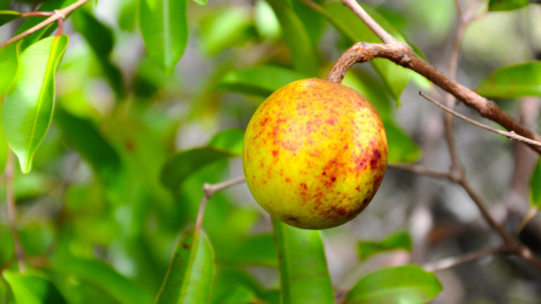 224120200o