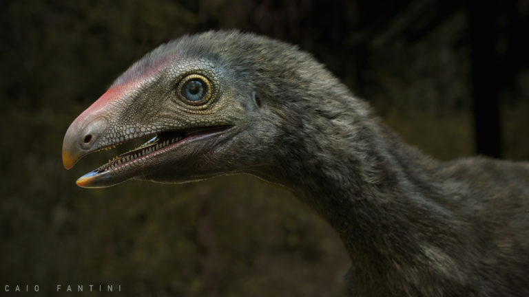 Venetoraptor gassenae (by Caio Fantini)_Easy-Resize.com