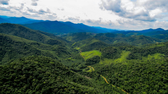 Parque Estadual da Serra do Mar