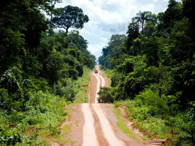 estrada de terra divide área de floresta