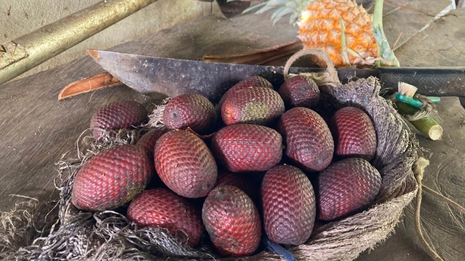 frutas amazônicas como o buriti ajudam a nutrir a população
