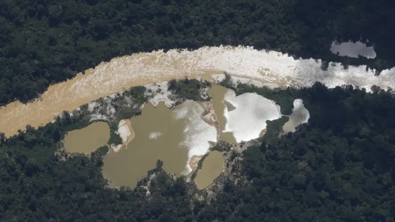 _mg_4774_0 Garimpo ilegal nas terras indígenas Munduruku e Yanomami colaborou para aumento de 108% nos casos de malária entre 2018 e 2021