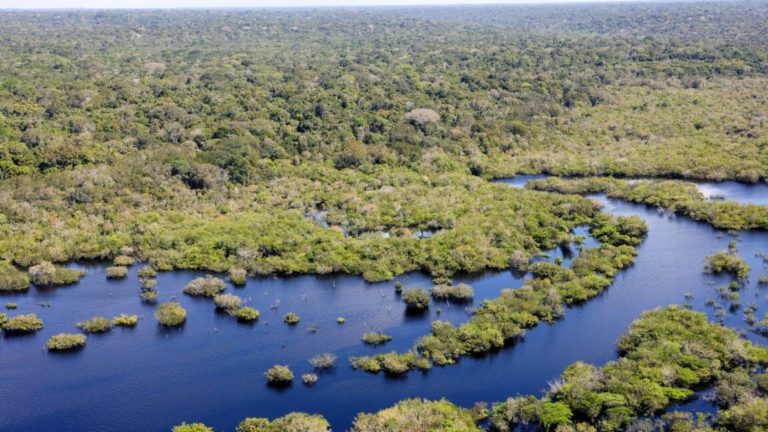 Relatório de Grupo de Especialistas da Força-Tarefa do Clima (TF Clima) defende medidas do Acordo de Paris