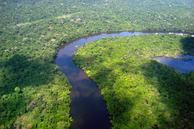 Metas climáticas nacionais: Brasil se comprometeu a reduzir suas emissões de gases de efeito estufa entre 59% e 67% em 2035