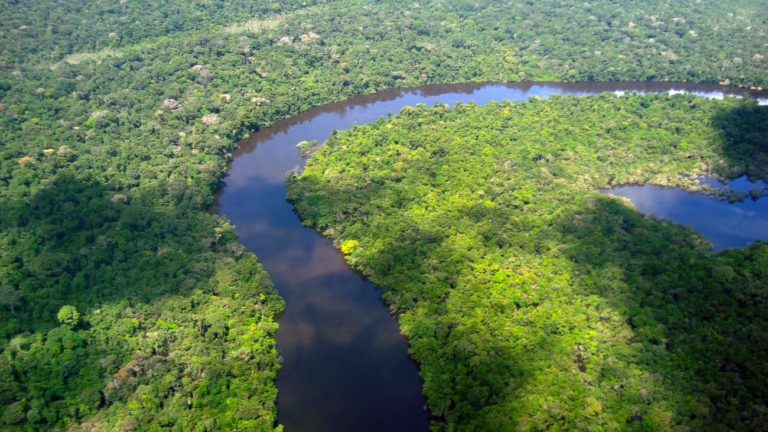 Metas climáticas nacionais: Brasil se comprometeu a reduzir suas emissões de gases de efeito estufa entre 59% e 67% em 2035