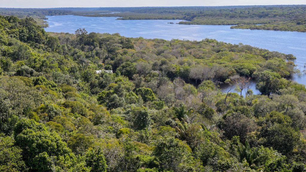 g20 ambiente G20 deve investir no meio ambiente