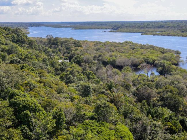 G20 deve investir no meio ambiente