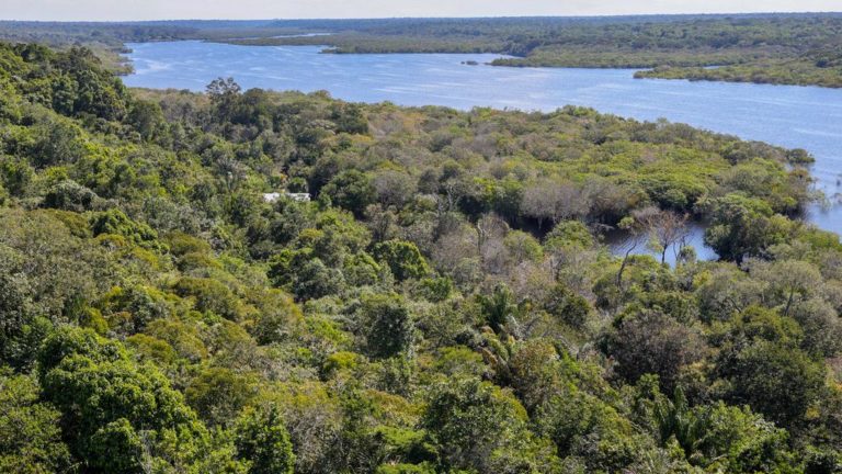 g20 ambiente G20 deve investir no meio ambiente