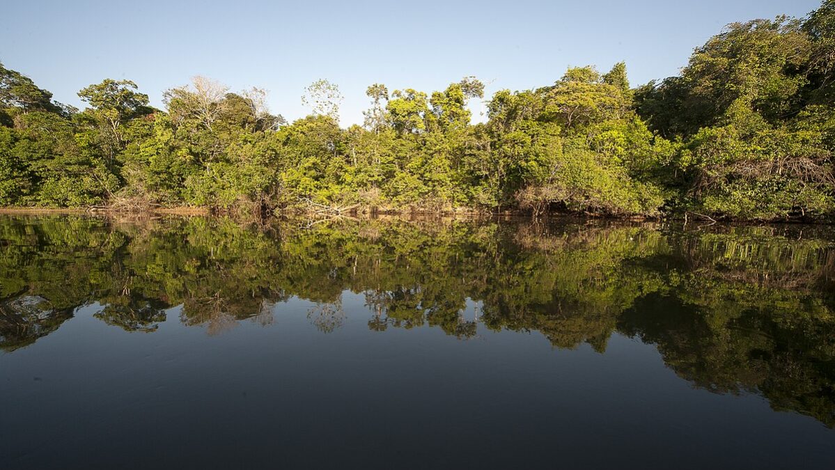 tendência de redução e extinção das unidades de conservação ameaça áreas da Amazônia