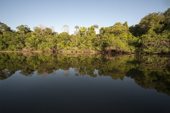 tendência de redução e extinção das unidades de conservação ameaça áreas da Amazônia