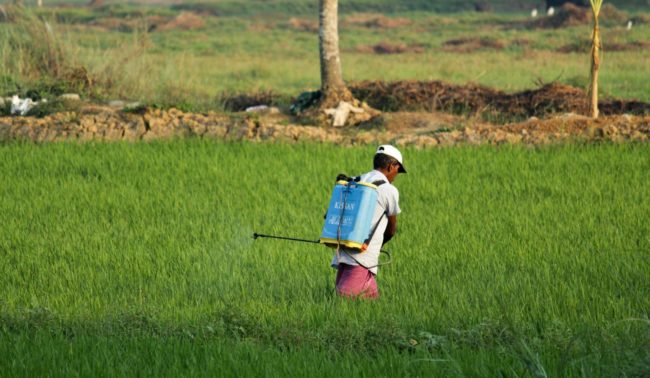 uso de agrotóxicos e casos de câncer entre trabalhadores rurais
