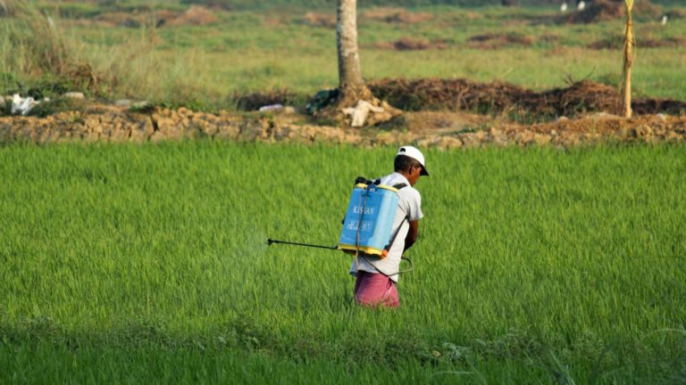 arjun-mj-792-GkRUtes-unsplash-1500×873 uso de agrotóxicos e casos de câncer entre trabalhadores rurais