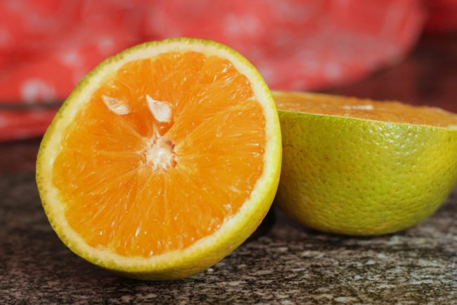 pexels-nandamends-30821253 Biocarvão derivado de laranjas é sustentável e pode ajudar a descontaminar água, aponta estudo