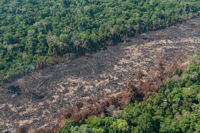 1024px-Operação_Verde_Brasil,_Rondônia_(48683026837) queda da cobertura vegetal em Rondônia