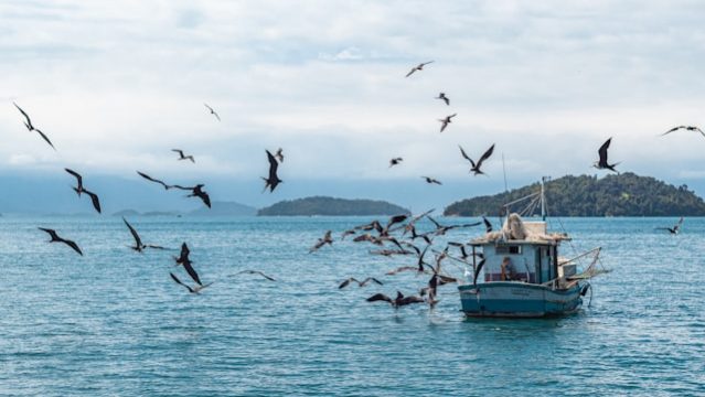 stefano-girardelli-cT-hTAeKhHk-unsplash(1)