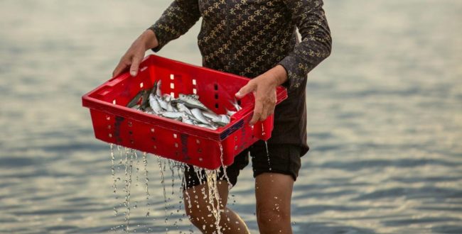 pexels-tu-n-vu-2153773491-32943722s Além de alimentação e renda, a cultura e o legado familiar estão entre as motivações das pescadoras artesanais para seguir na atividade