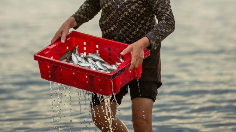 Além de alimentação e renda, a cultura e o legado familiar estão entre as motivações das pescadoras artesanais para seguir na atividade