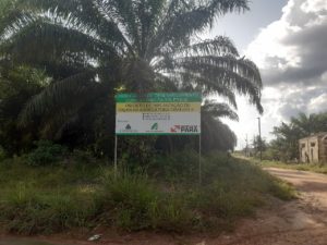 Placa de projeto de palma na agricultura familiar cercada por palmeiras de dendê, com estrada de terra e moradias ao fundo no Pará