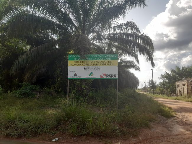 redd Imagem do WhatsApp de 2025-08-11 à(s) 18.57.34_b2637ca9 Placa de projeto de palma na agricultura familiar cercada por palmeiras de dendê, com estrada de terra e moradias ao fundo no Pará
