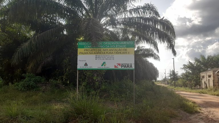 Placa de projeto de palma na agricultura familiar cercada por palmeiras de dendê, com estrada de terra e moradias ao fundo no Pará