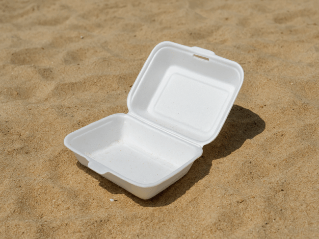 microplásticos praia vermelha
