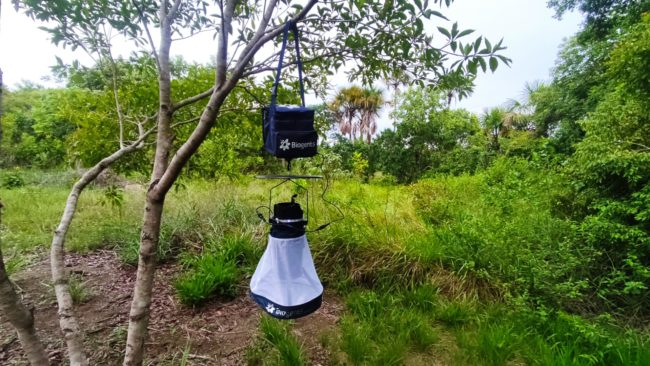 Armadilha usada para capturar mosquitos, com os encontrados na nova pesquisa, em área de mata