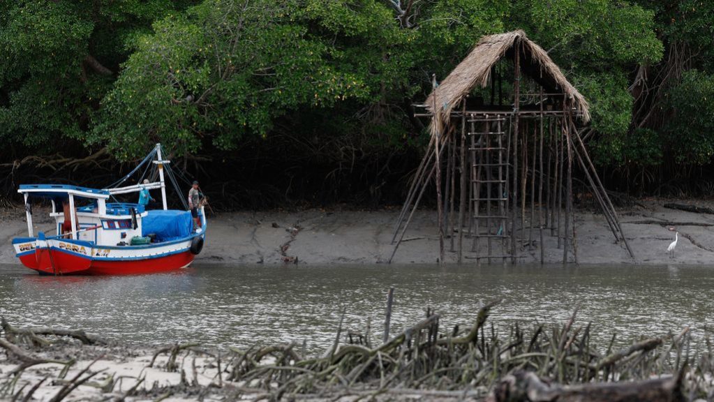manguezais da Amazônia ameaçados pela exploração de petróleo na margem equatorial