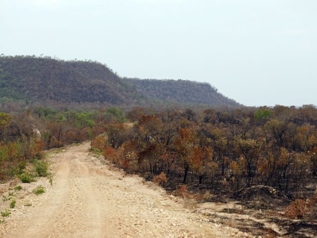 incêndios no cerrado incêndios no cerrado