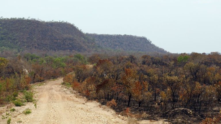 incêndios no cerrado