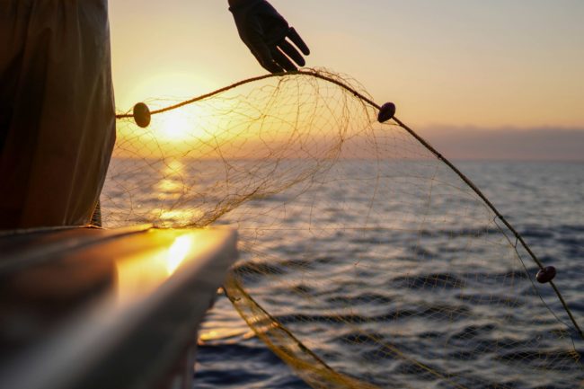 the-fixer-NnsQK9icxc0-unsplash pesca el niño