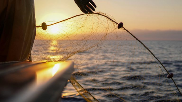 pesca el niño